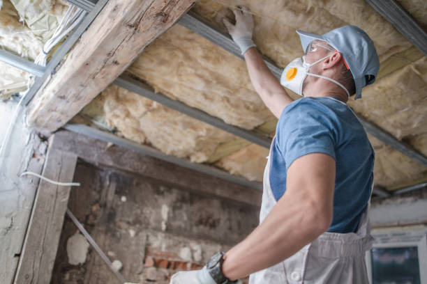 Professional Insulation Contractor in WI